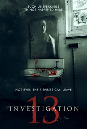 Investigation 13         (2019)