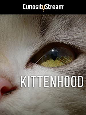 Kittenhood         (2015)
