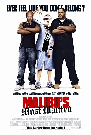 Malibu’s Most Wanted         (2003)