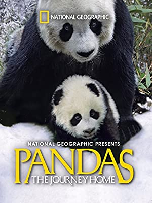 Nonton Film Pandas: The Journey Home (2014) Subtitle Indonesia
