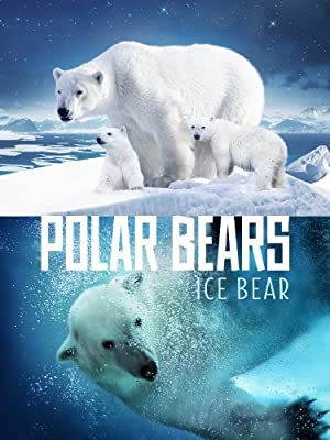 Nonton Film Polar Bears: Ice Bear (2013) Subtitle Indonesia