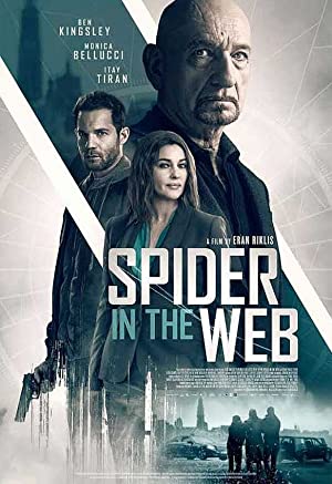 Spider in the Web         (2019)