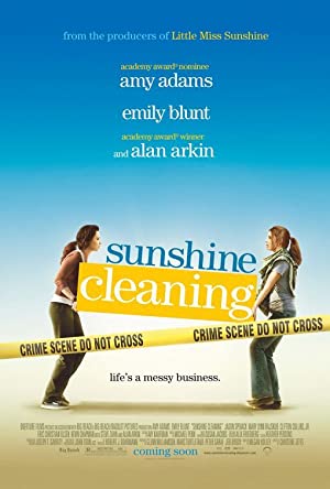 Sunshine Cleaning         (2008)