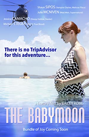 The Babymoon         (2017)