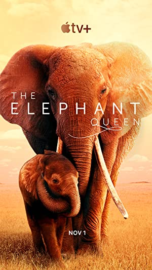 Nonton Film The Elephant Queen (2019) Subtitle Indonesia