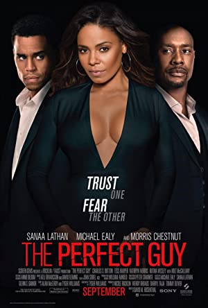 The Perfect Guy (2015)