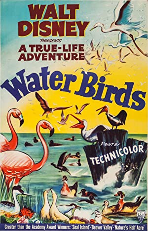 Nonton Film Water Birds (1952) Subtitle Indonesia