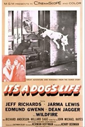 Nonton Film It’s a Dog’s Life (1955) Subtitle Indonesia