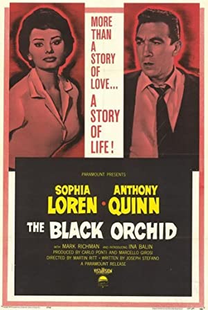 Nonton Film The Black Orchid (1958) Subtitle Indonesia