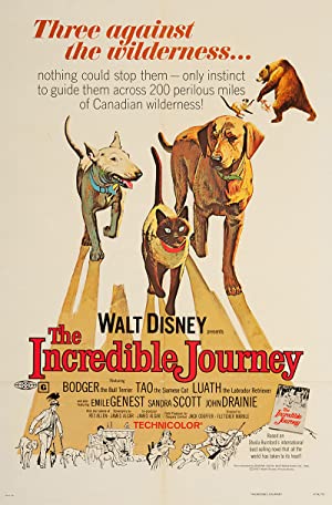 Nonton Film The Incredible Journey (1963) Subtitle Indonesia