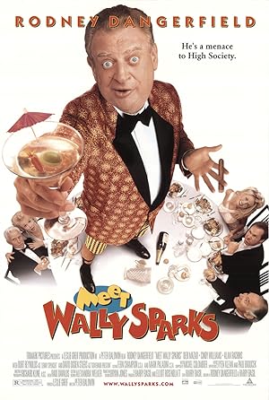 Meet Wally Sparks (1997)