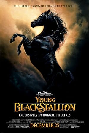 The Young Black Stallion (2003)