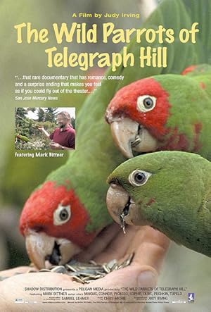 Nonton Film The Wild Parrots of Telegraph Hill (2003) Subtitle Indonesia