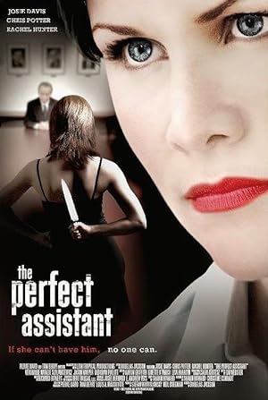 Nonton Film The Perfect Assistant (2008) Subtitle Indonesia