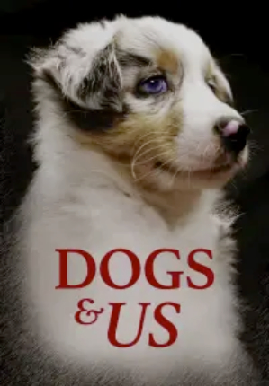 Dogs & Us – The Secret of a Friendship (2020)