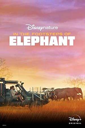Nonton Film In the Footsteps of Elephant (2020) Subtitle Indonesia