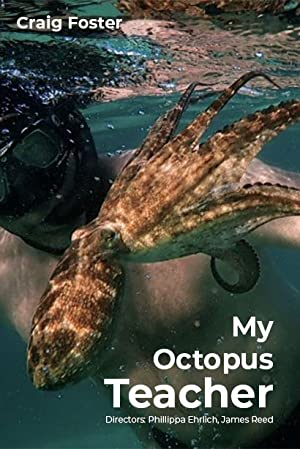 Nonton Film My Octopus Teacher (2020) Subtitle Indonesia