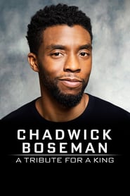 Nonton Film Chadwick Boseman: A Tribute for a King (2020) Subtitle Indonesia