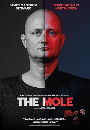 The Mole: Undercover in North Korea (2020)