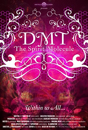 Nonton Film DMT: The Spirit Molecule (2010) Subtitle Indonesia