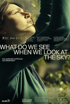 Nonton Film What Do We See When We Look at the Sky? (2021) Subtitle Indonesia