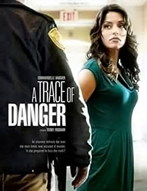 Nonton Film A Trace of Danger (2010) Subtitle Indonesia