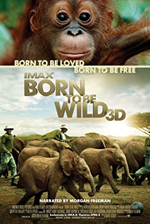 Born to Be Wild         (2011)