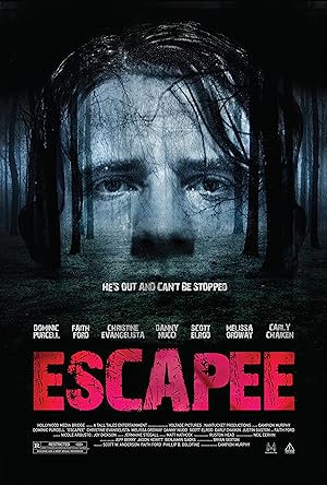 Nonton Film Escapee (2011) Subtitle Indonesia Filmapik