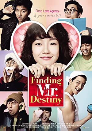 Finding Mr. Destiny         (2010)