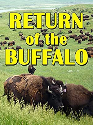 Nonton Film The Return of the Buffalo: Restoring the Great American Prairie (2008) Subtitle Indonesia
