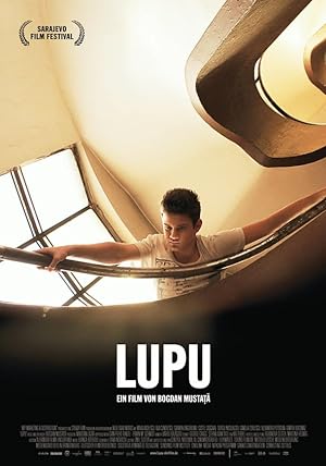 Lupu (2013)