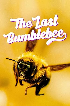 Nonton Film The Last Bumblebee (2024) Subtitle Indonesia