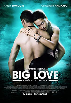 Big Love (2012)