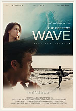 The Perfect Wave (20142015)