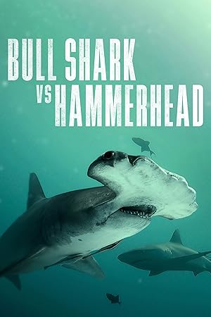 Nonton Film Bull Shark Vs. Hammerhead (2023) Subtitle Indonesia Filmapik