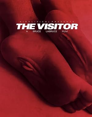 Nonton Film The Visitor (2024) Subtitle Indonesia