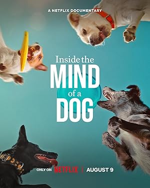 Nonton Film Inside the Mind of a Dog (2024) Subtitle Indonesia Filmapik