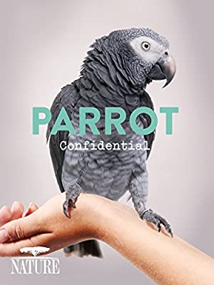 Parrot Confidential (2013)