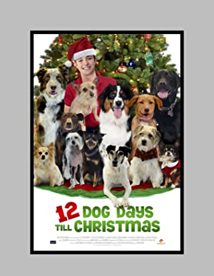 Nonton Film 12 Dog Days Till Christmas (2014) Subtitle Indonesia Filmapik