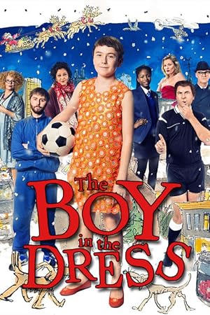 The Boy in the Dress (2014)