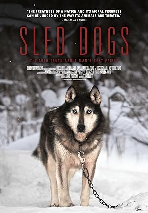 Nonton Film Sled Dogs (2016) Subtitle Indonesia