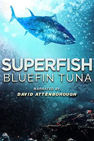 Nonton Film Superfish Bluefin Tuna (2012) Subtitle Indonesia