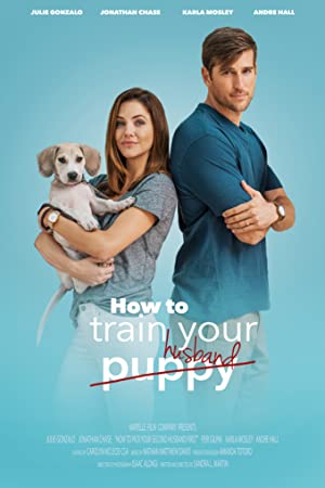 Nonton Film How to Train Your Husband or (How to Pick Your Second Husband First) (2018) Subtitle Indonesia