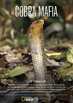 Nonton Film Cobra Mafia (2015) Subtitle Indonesia Filmapik