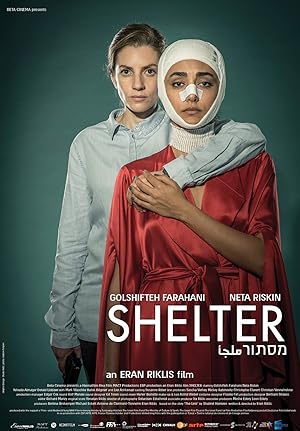 Shelter (2017)
