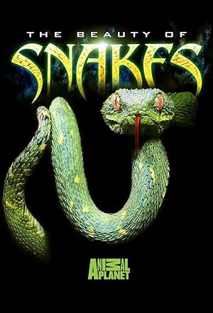 Nonton Film Beauty of Snakes (2003) Subtitle Indonesia