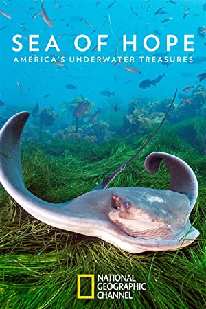 Nonton Film Sea of Hope: America’s Underwater Treasures (2017) Subtitle Indonesia