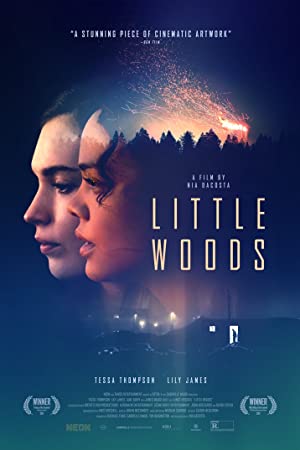 Nonton Film Little Woods (2018) Subtitle Indonesia Filmapik