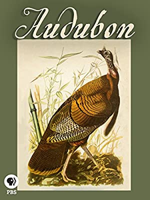 Nonton Film Audubon (2017) Subtitle Indonesia
