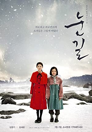 Snowy Road         (2017)